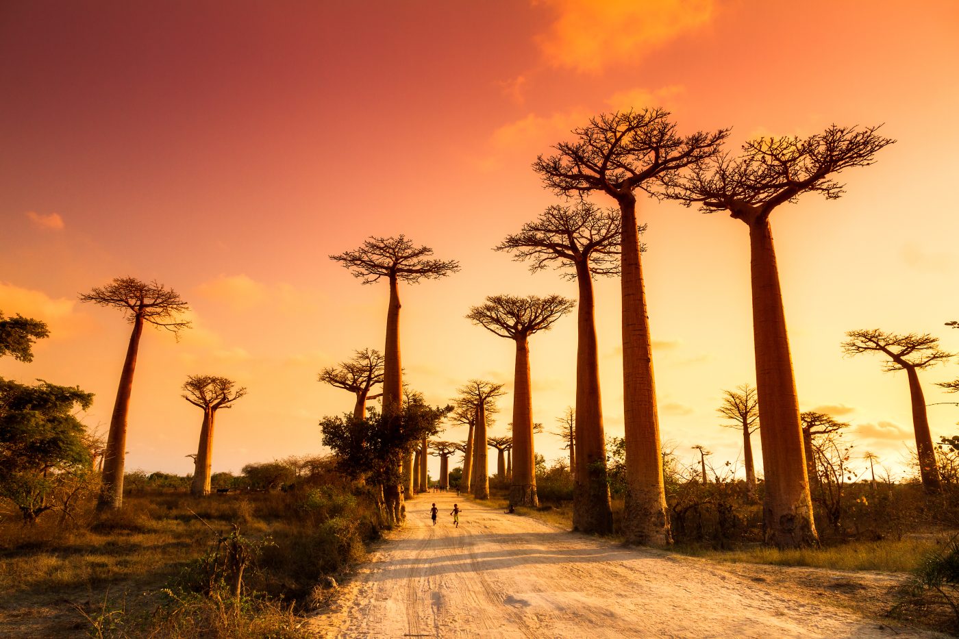 Africa travel advice